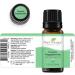 Plant Therapy Organic Peppermint Essential Oil 10mL - USDA Certified, 100% Pure & Undiluted - Natural Aromatherapy for Therapeutic Benefits - Buy Online on GoSupps.com