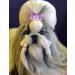YOY 24PCS / 12 Pairs Adorable Grosgrain Ribbon Pet Dog Hair Bows with Rubber Bands - Puppy Topknot Cat Kitty Doggy Grooming Hair Accessories Bow Knots Headdress Flowers Set for Groomer 24 pcs 1.2" Bows with Flowers - Buy Online on GoSupps.com