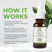 SKIN DEVA 1 fl oz Matrixyl 3000 Hyaluronic Acid Serum - Anti Aging Moisturizer & Collagen Repair Formula - Buy Online on GoSupps.com