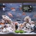 Mesee Aquarium Thermometer - LCD Digital Electronic with Suction Cup for Fish Tank, Terrarium, Marine Reptile Habitat - Accurate Temperature Measurement - Buy Online on GoSupps.com