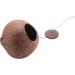KJKVIVH Natural Coconut Shell Bird Nest House Hut For Pet Parrot Budgies Parakeet Cockatiels Conure Canary Pigeon Cage Rat Gerbil Mice Cage Seed Feeder Toy Nesting Box - Buy Online on GoSupps.com