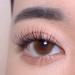 CORINGCO W Type False Eyelashes Kit - Individual Eyelashes with Glue and Tweezers (0.07mm - 10mm, 11mm, 12mm) - Buy Online on GoSupps.com