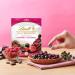 Fruit Sensation with dark chocolate raspberry and Ar ndano Rouge Lindt - Buy Online on GoSupps.com