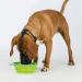 TRIXIE Dog Muzzle - Size L-XL - Black | Comfortable & Secure Fit for Large to X-Large Breeds - Buy Online on GoSupps.com