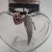 Pet Hair Memorial Bottle - Dog Cat Keepsake Fur Urn for Pet Remembrance - Buy Online on GoSupps.com