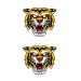 SanerLian Bear Geometric Temporary Tattoo Sticker Set of 12 | Watercolor Waterproof Body Art for Men and Women | Hand Arm 10.5X6cm - Buy Online on GoSupps.com