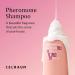 Charming Pheromone Fragrance Cel Raum Lovely Perfume Shampoo | 36-Hour Lasting Scent | Haircare & Scalp Treatment | Rich Foam - Buy Online on GoSupps.com