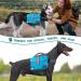 PETAMI Hundred Socks for Medium Large Dogs | Dog Saddle Bag Vest for Travel (Blue Medium) - Buy Online on GoSupps.com