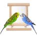2Pcs Parrot Hanging Swing Mirror Fun Wooden Parrot Mirror Hanging Wooden Bird Mirror Toy Parrot Toy Budgie Mirror for Small Birds - Buy Online on GoSupps.com