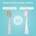 Baby Toothbrush Replacement Heads for Dada Tech Seago Brush-Baby & BabySmile | Compatible for 18-36 Months - Buy Online on GoSupps.com