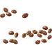 GLOSETTE Raisins Chocolate Covered Candy Holiday Candy Chocolate Candy for Sharing Perfect for Movies 50g (Box of 18) Raisin 1 Count (Pack of 18) - Buy Online on GoSupps.com