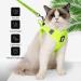 Shop Lianzimau Ultra Light Cat Dishes & Escape Protection Vest Jacket for Kittens & Puppies Adjustable Soft Padded Fruit Green | International Shipping Available - Buy Online on GoSupps.com