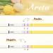 Areta 50 Pack Early Pregnancy Test Strips - High Sensitivity 10 mIU/ml - Accurate & Reliable HCG Test for Early Detection - Buy Online on GoSupps.com