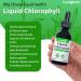 LIQUIDHEALTH Liquid Chlorophyll Drops - Internal Deodorizer Liver Detox Immune Support Promote Collagen for Hair & Skin Stop Bad Breath Reduce Appetite - Made in The USA Vegan Non-GMO (2 oz) 2 Fl Oz (Pack of 1) - Buy Online on GoSupps.com
