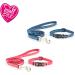 Ancol Small Bite Stars Collar & Lead Set - Blue (20-30 cm) | 1m x 10mm - Buy Online on GoSupps.com