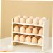 Mikinona Garnish Tray Egg Storage Box Decorative Storage Boxes Eggs Organic Cage Egg Storage Rack Crisper Egg Holder - Buy Online on GoSupps.com