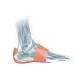 MUELLER Sports Medicine PFTape  Tape for Plantar Fasciitis for Men and Women  Regular  3 Applications Beige 3 - Buy Online on GoSupps.com