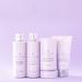 Drybar Blonde Ale Brightening Mask | Noir Scent for Blonde & Gray Hair (6 oz) - Buy Online on GoSupps.com
