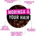 The Curl Company Soften and Shape Curl Lotion 250ml - De-frizzing & Smoothing for Curls & Waves | Curplex & Moringa Oil Formula - Buy Online on GoSupps.com