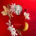 Shakira Perfumes - ROJO Eau de Parfum For Women - Long Lasting - Powerful Sensual and Charming Scent - Floral Spicy and Amber Notes - Ideal for Day Wear - 1.7 Fl. Oz Spicy 1.7 Fl Oz (Pack of 1) - Buy Online on GoSupps.com