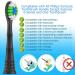 Replacement Toothbrush Heads for Philips Sonicare | 12 Pack Compatible Electric Brush Heads - Black - Buy Online on GoSupps.com