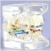 Dytah Dental Painting Model - Orthodontic Treatment with Brackets & Buccal Tube for Malocclusion Study & Lessons - Buy Online on GoSupps.com