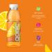 Ganic Mango Citrus Vitamin Water - Low-Calorie Vegan Preservative-Free Rich in Magnesium & Calcium (12 x 500 ml) - International Shipping Available - Buy Online on GoSupps.com