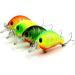 Topconcpt 275pcs Freshwater Fishing Lures Kit with Tackle Box - Frog, Spoons, Pencil Bait, Grasshopper Lures for Bass, Trout, Salmon - Buy Online on GoSupps.com