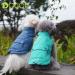 Shop Docio Dog Winter Coat - Cotton Padded Jacket Vest for Small Dogs | L Turquoise | 1-Pack - Buy Online on GoSupps.com