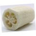 Beaupretty Exfoliating Loofah Sponge Pads - 6 Pcs Natural Bath Scrubber & Exfoliator for Flawless Skin - Buy Online on GoSupps.com