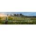 Buy Mills Wholemeal Rye Flour 10kg | Fresh 100% Regional & Natural from R tze Mill - Best Quality - Buy Online on GoSupps.com