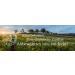 Mills Wholemeal Emmer Flour 500g - Fresh 100% Natural & Regional | R tze Mill Quality - Buy Online on GoSupps.com