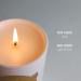 SAINT Virgin Mary of Guadalupe Scented Candle | 80 Hour Soy Coconut Aromatherapy | Special Edition with Prayer Coin & Holy Oil - Buy Online on GoSupps.com