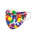VAVANT Fashion Mask Breathable Mask with Comfortable Nose Pad & Ear Straps Fashionable Mask Art Collaboration with SAKUN Medium Rgb Multi