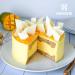 Haodong Beef Gelatin Sheets 20 Sheets - 200 Bloom Gold Leaf Gelatine for Baking - 40g/1.42oz - Buy Online on GoSupps.com