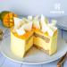 HAODONG Beef Gold Leaf Gelatin Sheets - 200 Bloom (20 Sheets 40g) - Ideal for Baking and Cooking Mirror Glaze Mousse Cake - Buy Online on GoSupps.com