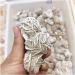 Crafts 100-120g Natural Desert Rose Selenite raw Crystal Specimen Rough Sample Cluster fengshui Decor JIZTGEDM - Buy Online on GoSupps.com
