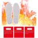 Self-Heating Insoles | Portable Foot Warmers | Skin-Friendly Shoe Inserts for Men | Ideal for Outdoor Sports & Skiing - 36m - Buy Online on GoSupps.com
