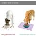 Reopet Silicone Feed Mat for Pets - Waterproof Dog & Cat Space Mat - Elevated Edges - 47 x 30 cm (1-Pack) Hibiskus Purple - Buy Online on GoSupps.com
