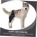 GRIRIW Puppy Leg Brace Dog Foreleg Brace Dog Hindleg Cover Puppy Leg Cover Dog Leg Braces for Foreleg Comfortable Dog Leg Brace for Dog Knee for Dogs Leg Supplies M As Shown - Buy Online on GoSupps.com