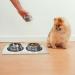 AOKLANT Non-Slip Pet Bowl Mat - Waterproof Cat Dog Food Mat - 18.5 x 11.5 Beige - Multiple Colors - Buy Online on GoSupps.com