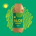 Aloe ARBORESCENS Miller with Agave 100% Vegan 100% Fresh 100% BIO Recipe bio by Father Romano Zago - Buy Online on GoSupps.com
