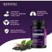 HAVASU NUTRITION Elderberry Capsules with Sambucus Nigra | Immune Support & Defense with Antioxidants - Buy Online on GoSupps.com