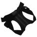 Back Brace Posture Corrector | Adjustable Lightweight Neoprene Support Belt for Men & Women | Improve Posture & Alleviate Back Pain - Buy Online on GoSupps.com