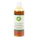 R V Essential Pure Chaulmoogra Carrier Oil 100ml (3.38oz)- Hydnocarpus Wightiana (100% Pure and Natural Cold Pressed)