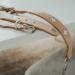 HUNTER SWISS High-Quality Leather Dog Collar - Natural Beige Swiss Cross Size 42 (SM) - International Shipping Available - Buy Online on GoSupps.com