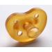 GOLDI Natural Heart Shape Pacifier Soother - 100% Latex for Babies (0-3 Months) - Safe & Comfortable - Buy Online on GoSupps.com