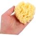 FRCOLOR Moisturizer Body Bath Shower Sponge for Body for Bathing for Body Natural Bath Sponge Bath Sponge for Sponge Shower - Buy Online on GoSupps.com