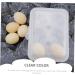 GLEAVI Box Pressure-proof Egg Carton Refrigerator Fridge Plastic Serving Tray Transparent Egg Tray Egg Rack White 24X14CM - Buy Online on GoSupps.com