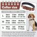 Genuine Leather Padded Dog Collar - Comfortable and Strong Collars for Small, Medium, and Large Breed Dogs - Brown (Medium) - Buy Online on GoSupps.com